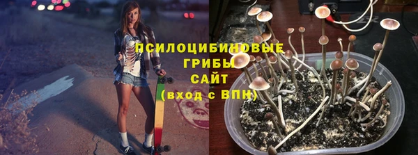 тгк Армянск