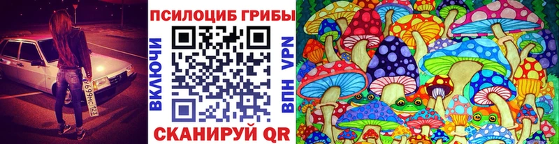блэк спрут ТОР  Лагань  Псилоцибиновые грибы прущие грибы 
